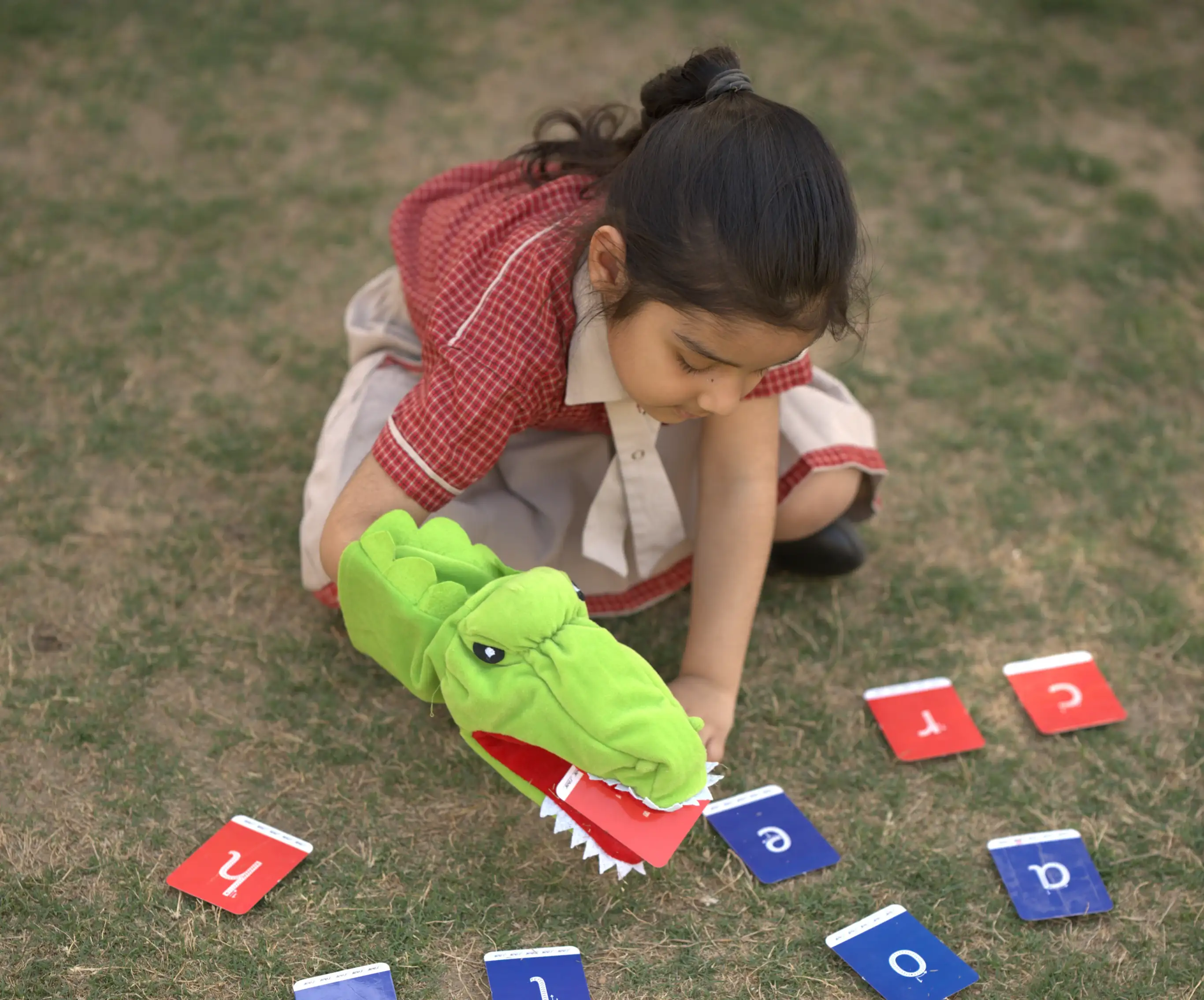 International Standards in Language Learning
